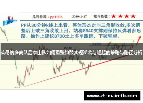 莱昂纳多离队后泰山队如何重整旗鼓实现逆袭与崛起的策略与路径分析