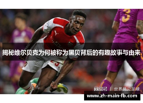 揭秘维尔贝克为何被称为黑贝背后的有趣故事与由来 揭秘维尔贝克为何被称为黑贝背后的有趣故事与由来