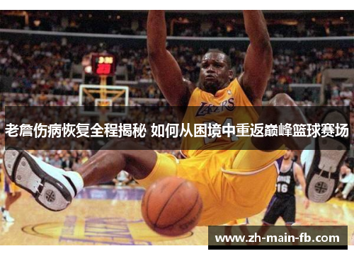 老詹伤病恢复全程揭秘 如何从困境中重返巅峰篮球赛场