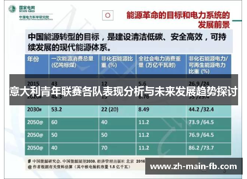 意大利青年联赛各队表现分析与未来发展趋势探讨