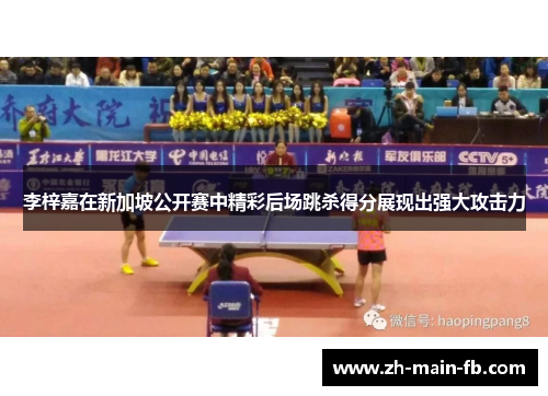 李梓嘉在新加坡公开赛中精彩后场跳杀得分展现出强大攻击力