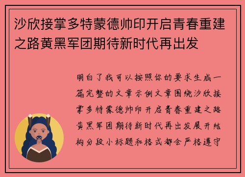 沙欣接掌多特蒙德帅印开启青春重建之路黄黑军团期待新时代再出发